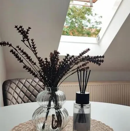 Apartment Moderne 2 Raum - Arbeitsplatz - Smarttv - Zentral - Ruhiges Dachgeschoss