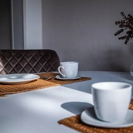 Apartment Moderne 2 Raum - Arbeitsplatz - Smarttv - Zentral - Ruhiges Dachgeschoss Erfurt